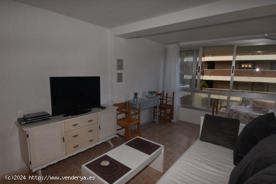 Alquiler largo plazo El Albir alfaz de Pi apartamento 1 dormitorio piscina parking - ALICANTE