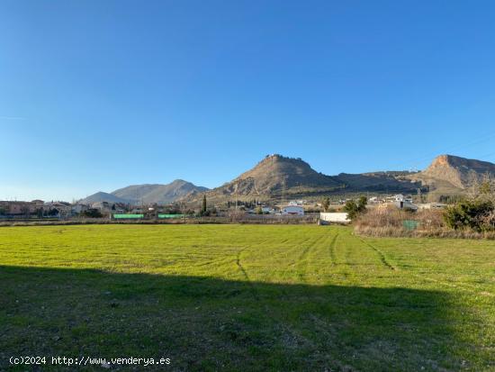  VENTA DE TERRENO RUSTICO URBANIZABLE  DEL TERMINO MUNICIPAL DE ATARFE EN EL CAMINO DE ALBOLOTE - GRA 