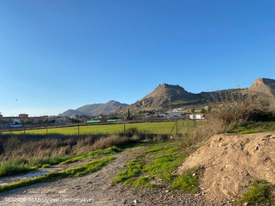 VENTA DE TERRENO RUSTICO URBANIZABLE  DEL TERMINO MUNICIPAL DE ATARFE EN EL CAMINO DE ALBOLOTE - GRA