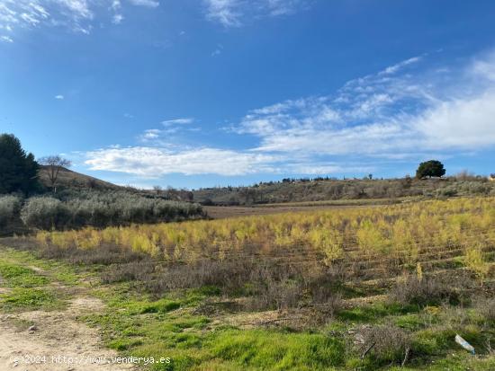 VENTA DE 21 ARANZADAS DE TIERRA CARMA CON RIEGO Y  CORTIJO CON LUZ, Y AGUA POTABLE - GRANADA