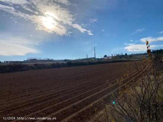 VENTA DE 21 ARANZADAS DE TIERRA CARMA CON RIEGO Y  CORTIJO CON LUZ, Y AGUA POTABLE - GRANADA