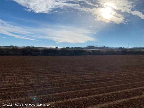 VENTA DE 21 ARANZADAS DE TIERRA CARMA CON RIEGO Y  CORTIJO CON LUZ, Y AGUA POTABLE - GRANADA