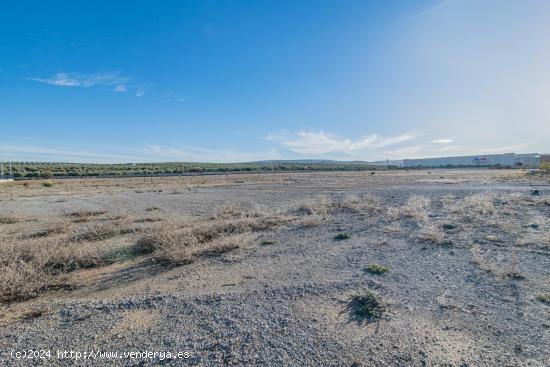 VENTA DE UNA PARCELA INDUSTRIAL EN EL POLIGONO TECNOLOGICO DE ESCUZAR DE 35.000 M2 - GRANADA