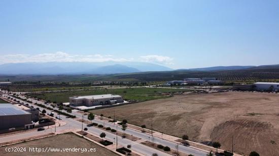 OPORTUNIDAD DE SUELO INDUSTRIAL A 65 € / M2 EN EL POLIGONO INDUSTRIAL DE ESCUZAR - GRANADA