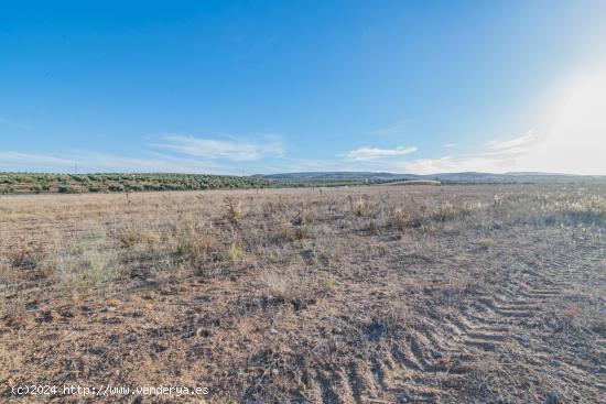  VENTA DE 21.500 M2 DE SUELO INDUSTRIAL EN EL PARQUE METROPOLITRANO DE ESCUZAR (GRANADA) - GRANADA 