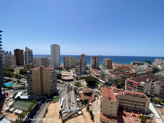 IMPRESIONANTE ATICO EN EL CENTRO DE BENIDORM - ALICANTE