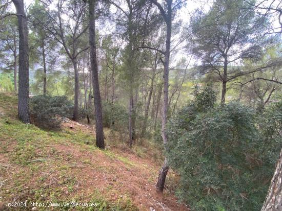 Solares Residenciales en Son Vida - BALEARES