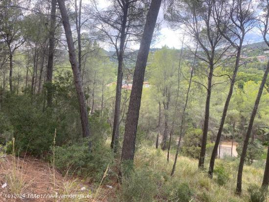 Solares Residenciales en Son Vida - BALEARES