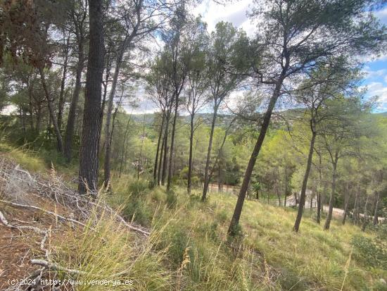 Solares Residenciales en Son Vida - BALEARES