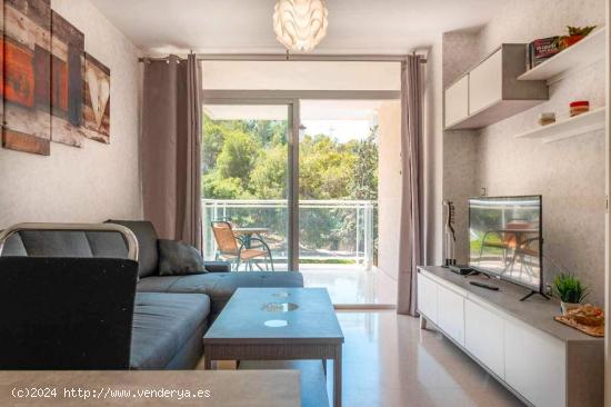 Alquiler de apartamento en Benidorm - Sexta planta con terraza - ALICANTE