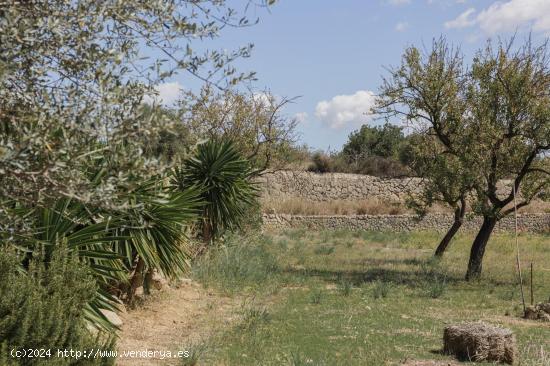 Casa multifamiliar en el corazón de Inca - BALEARES