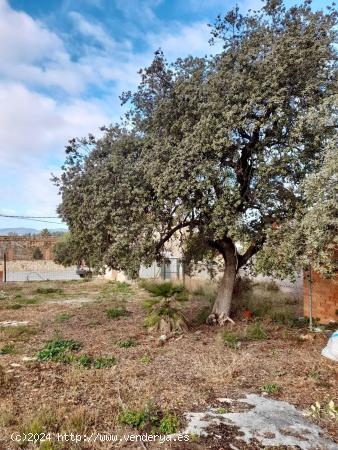 OPORTUNIDAD. VENTA DE TERRENO URBANO  DE 890M2  EN CASTELLET I LA GORNAL - BARCELONA