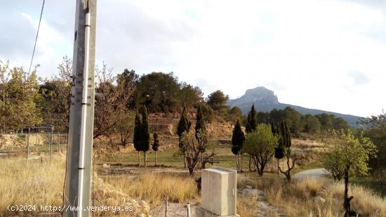  SE VENDE TERRENO RUSTICO EN BENISSA / 180.000.- € / CONTACTO 660059919 - ALICANTE 