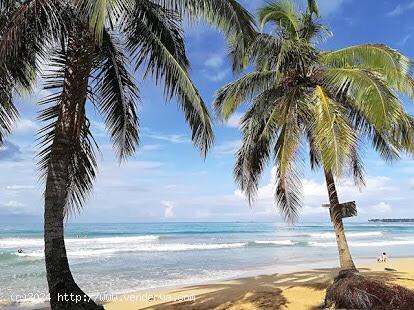 Pasare las navidades en Republica Dominicana..