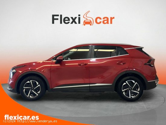 Kia Sportage 1.6 T-GDi HEV 171kW (230CV) Drive 4x2 - Alcalá de Guadaíra