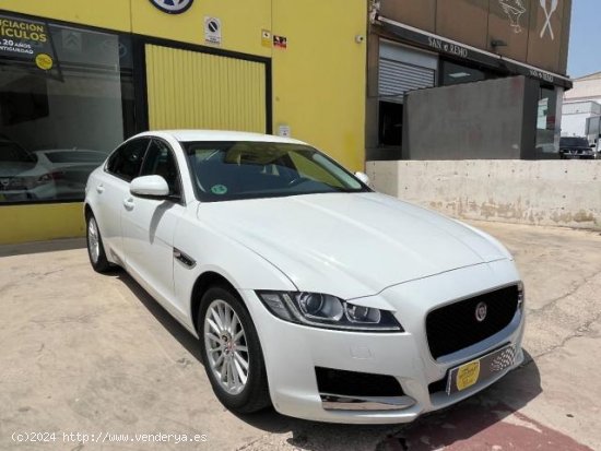 JAGUAR XF en venta en Murcia (Murcia) - Murcia