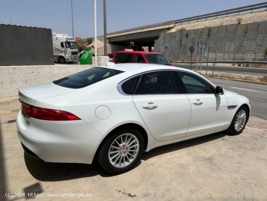 JAGUAR XF en venta en Murcia (Murcia) - Murcia