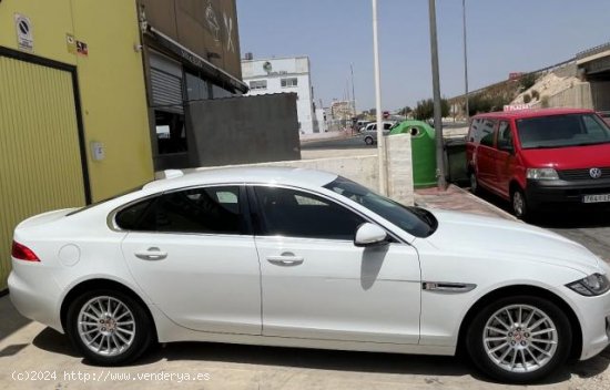 JAGUAR XF en venta en Murcia (Murcia) - Murcia