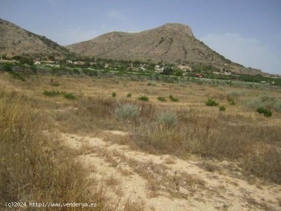 SE VENDE TERRENO EN ASPE - ALICANTE