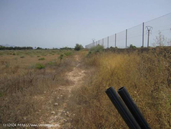 SE VENDE TERRENO EN ASPE - ALICANTE