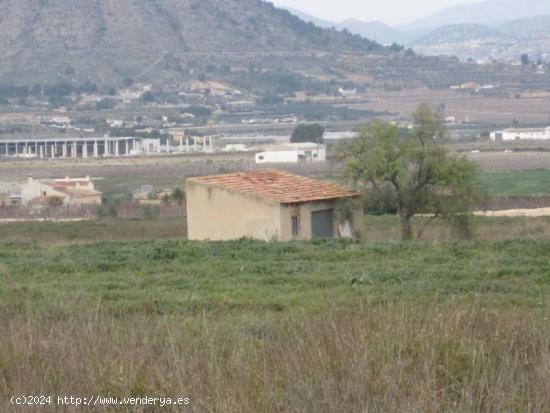 SE VENDE TERRENO EN ASPE - ALICANTE