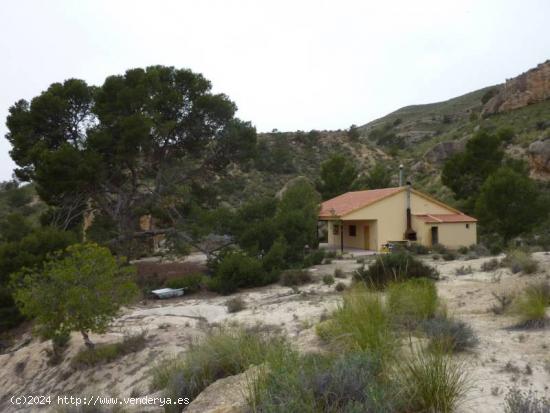 TERRENO CON CASA - MURCIA