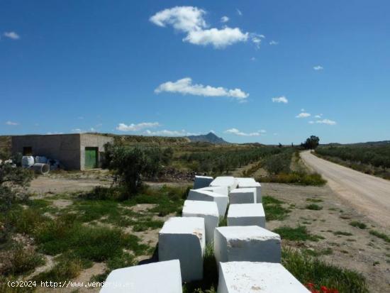 SE VENDE TERRENO CON ALBERGUE EN FORTUNA - MURCIA