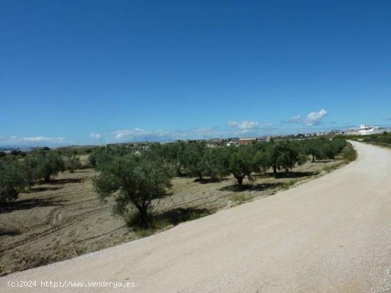 SE VENDE TERRENO CON ALBERGUE EN FORTUNA - MURCIA