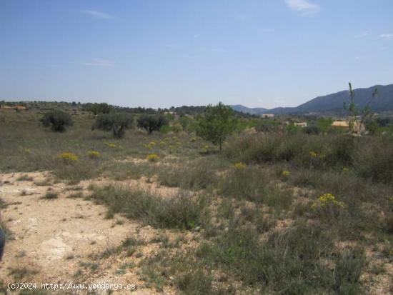 SE VENDE PARCELA EN LA ROMANA - ALICANTE