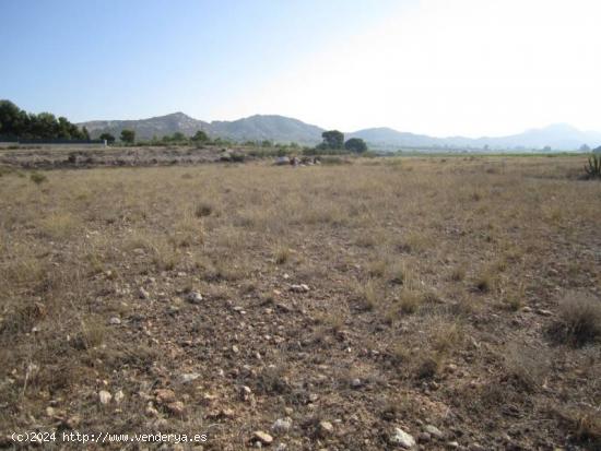 SE VENDE CASA DE CAMPO EN LA ROMANA - ALICANTE