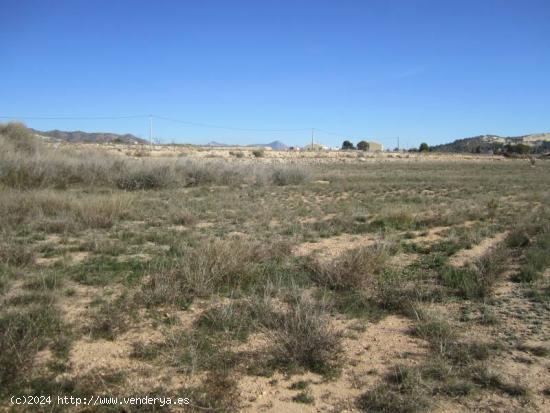 SE VENDE TERRENO EN LA ROMANA - ALICANTE