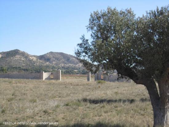 SE VENDE TERRENO EN LA ROMANA - ALICANTE