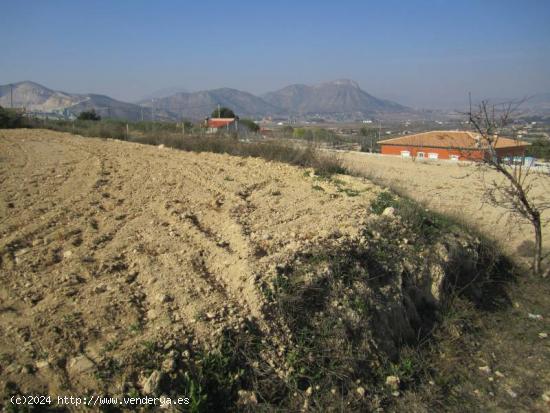 SE VENDE TERRENO EN ASPE - ALICANTE