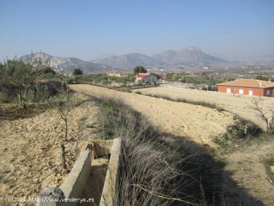 SE VENDE TERRENO EN ASPE - ALICANTE