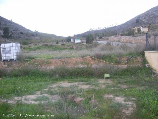 SE VENDE TERRENO EN ASPE - ALICANTE