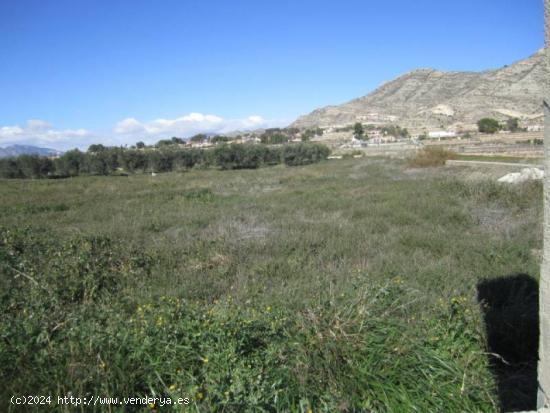  SE VENDE TERRENO EN ASPE - ALICANTE 