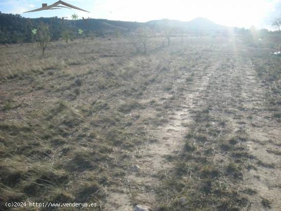 SE VENDE TERRENO EN HONDON DE LAS NIEVES - ALICANTE