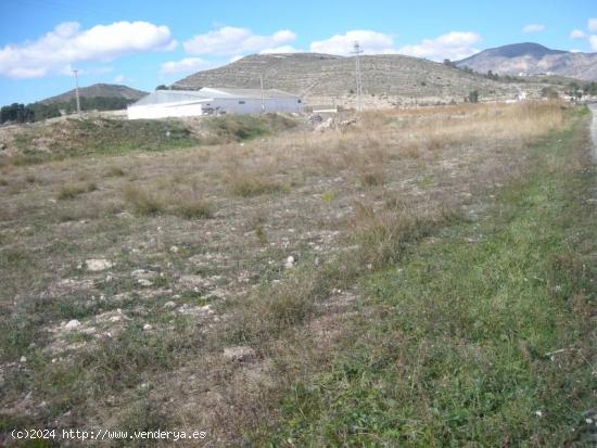 SE VENDE TERRENO URBANO EN HONDON DE LAS NIEVES - ALICANTE