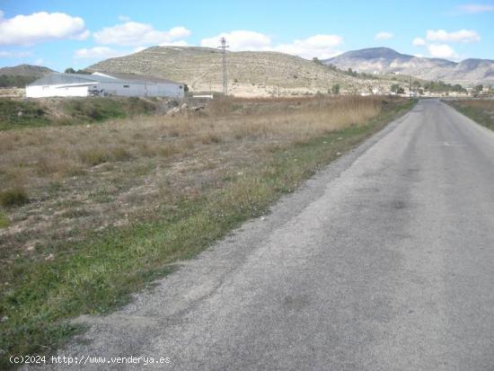 SE VENDE TERRENO URBANO EN HONDON DE LAS NIEVES - ALICANTE