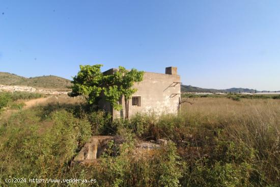  PARCELA CON ALBERGUE - ALICANTE 