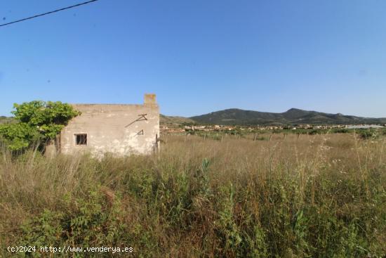 PARCELA CON ALBERGUE - ALICANTE