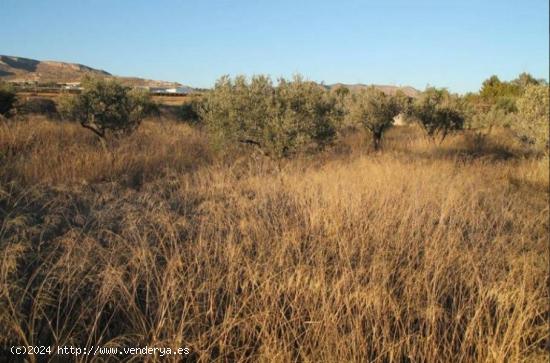 SE VENDE ALBERGUE EN LA ROMANA - ALICANTE