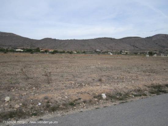 SE VENDE TERRENO EN HONDON DE LAS NIEVES - ALICANTE