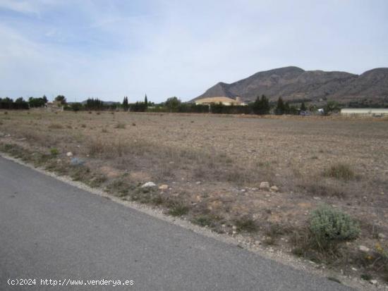 SE VENDE TERRENO EN HONDON DE LAS NIEVES - ALICANTE