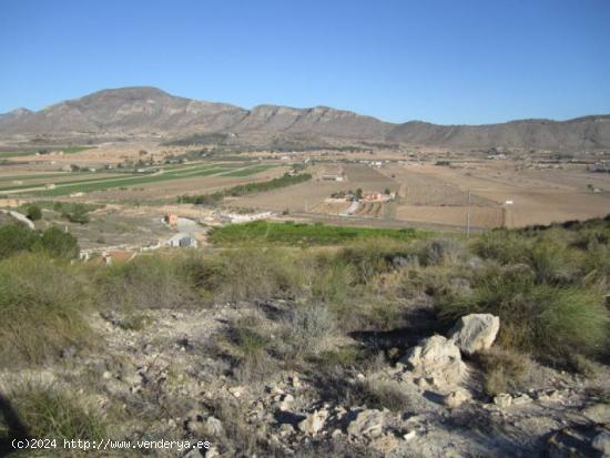 SE VENDE TERRENO EN HONDON DE LAS NIEVES - ALICANTE