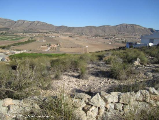 SE VENDE TERRENO EN HONDON DE LAS NIEVES - ALICANTE