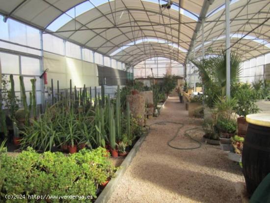 SE VENDE PARCELA CON VIVERO EN HONDON DE LOS FRAILES - ALICANTE