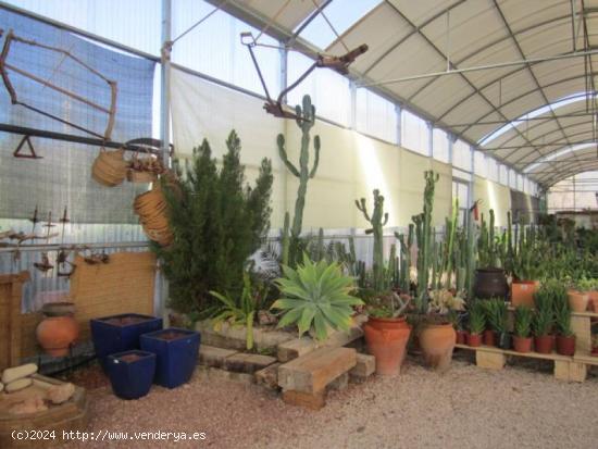 SE VENDE PARCELA CON VIVERO EN HONDON DE LOS FRAILES - ALICANTE