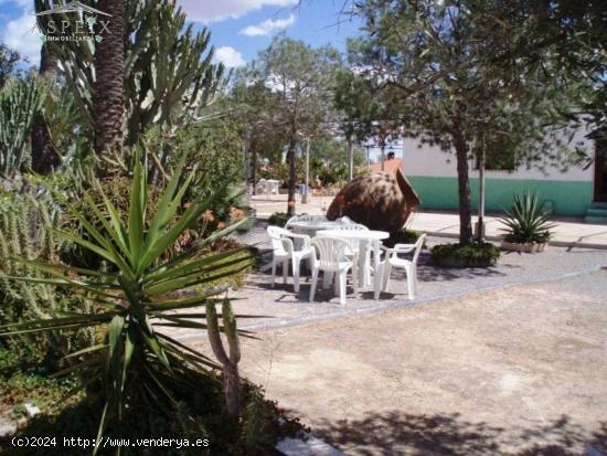 SE VENDE CASA DE CAMPO EN CREVILLENTE - ALICANTE