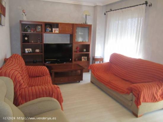  SE VENDE PISO EN NOVELDA - ALICANTE 